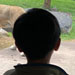 galleryImages11/126.jpg