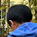 galleryImages11/234.jpg