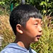 galleryImages11/337.jpg