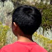 galleryImages11/413.jpg