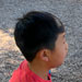 galleryImages11/416.jpg