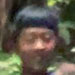 galleryImages11/479.jpg