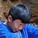 galleryImages11/529.jpg