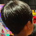 galleryImages11/747.jpg
