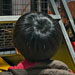 galleryImages11/749.jpg