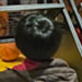 galleryImages11/750.jpg