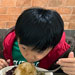 galleryImages11/773.jpg
