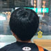 galleryImages11/850.jpg